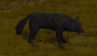 wiki:black_wolf.png