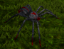 wiki:large_spider.png