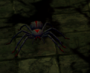 wiki:sewer_spider.png